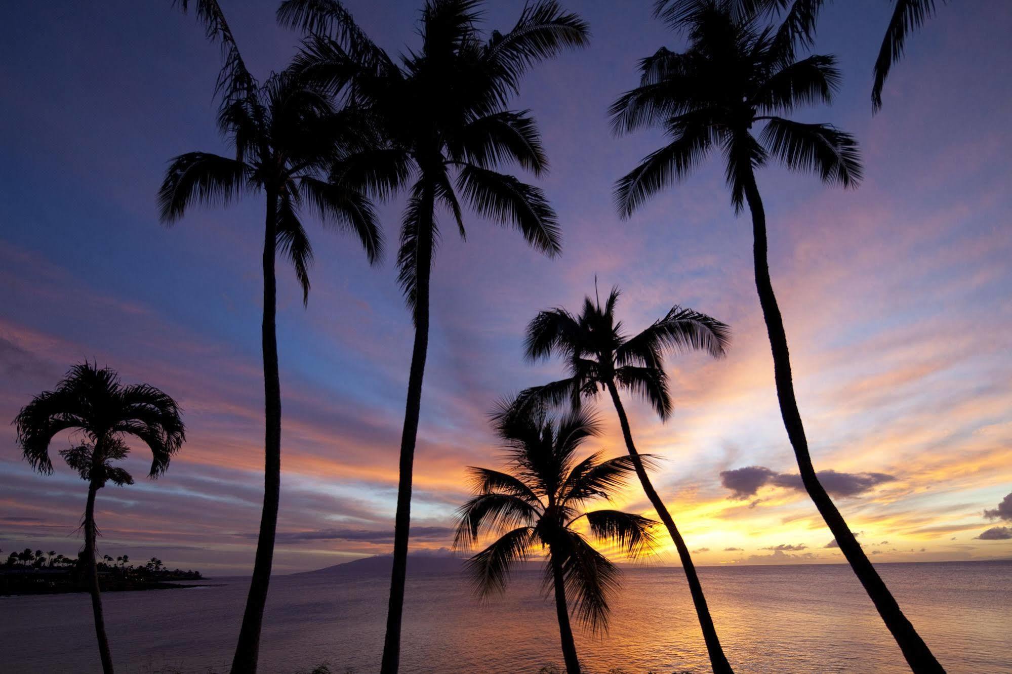 Napili Kai Beach Resort Kapalua Ngoại thất bức ảnh